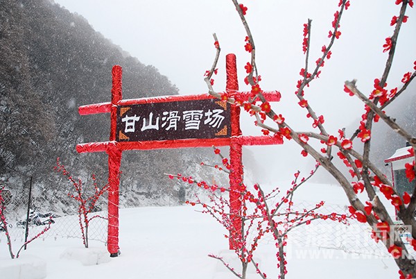 ����Ͽ��ɽ��ѩ��12��12��ʢ�󿪻�����һ��һȫ�쳩��