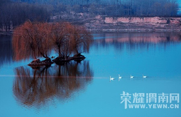 ����Ͽ��ɽ��ѩ��12��12��ʢ�󿪻�����һ��һȫ�쳩��