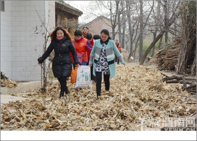 ů��2015����������