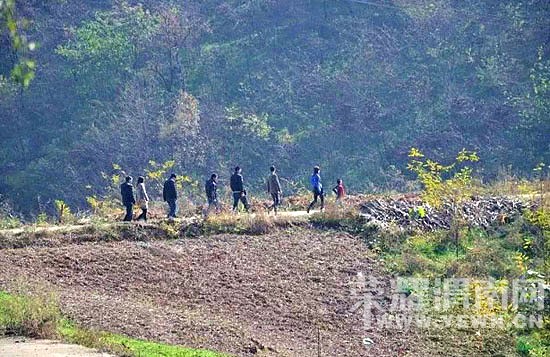 ů��2015�������ʼ����ļ���������𷢷���ļ���г�����־Ը�ߣ�