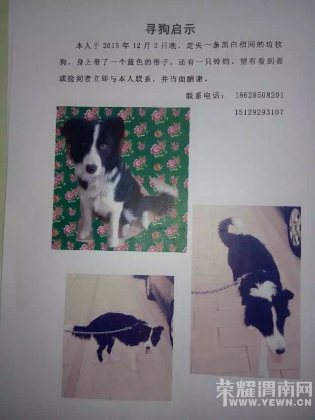 Ѱ�� ���� ���֣��ؽ��л��