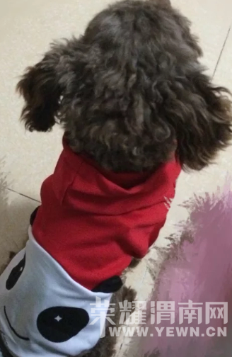 ���˰�����ʧ����˭������