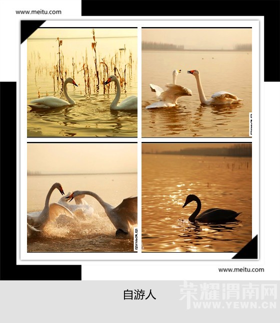 �������ˡ�12.19����������+���ݵؿ�Ժ��ɫ��̬֮��һ����