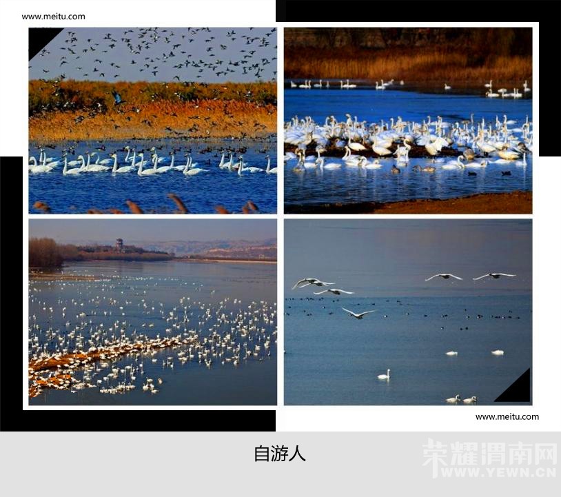 �������ˡ�12.19����������+���ݵؿ�Ժ��ɫ��̬֮��һ����