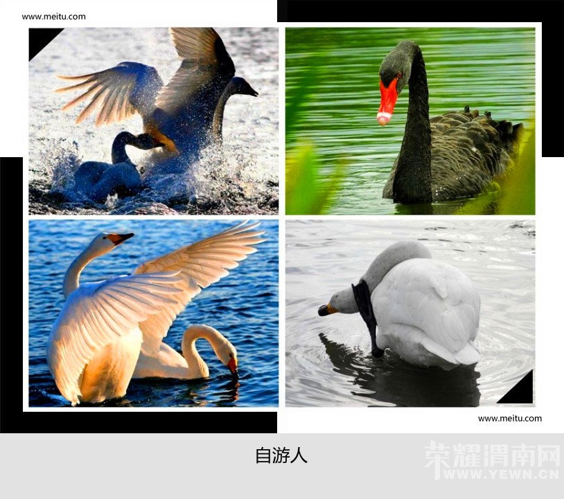 �������ˡ�12.19����������+���ݵؿ�Ժ��ɫ��̬֮��һ����