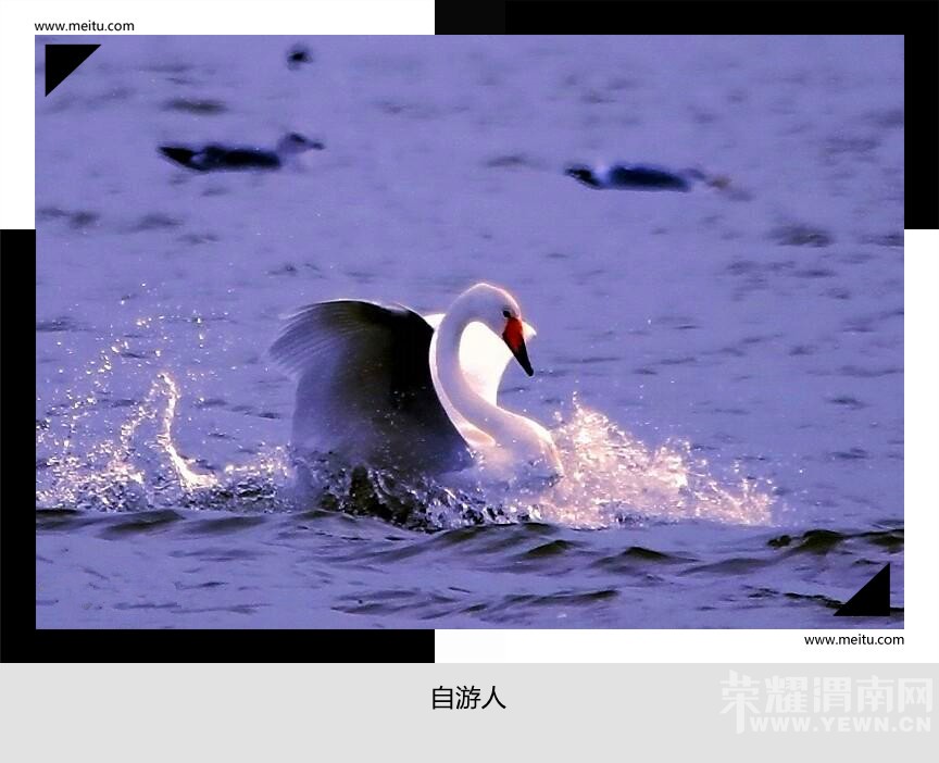 �������ˡ�12.19����������+���ݵؿ�Ժ��ɫ��̬֮��һ����