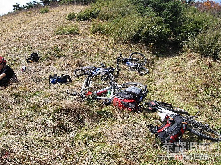 μ��ɽ�س�����Ⱥ�ۻ�