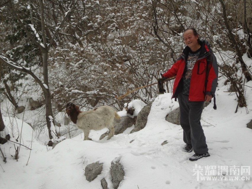 ����֮��