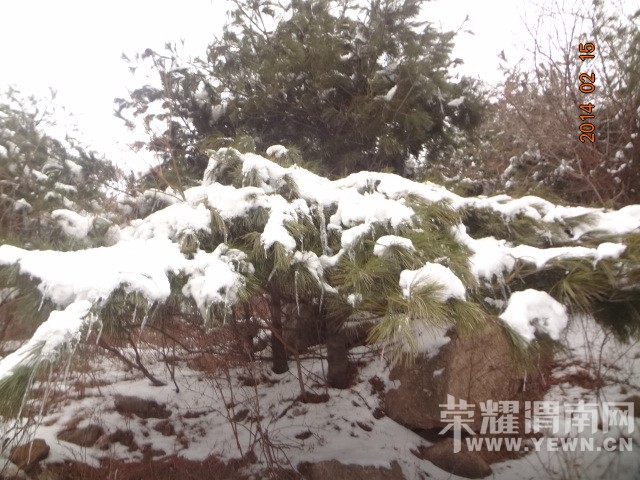 ����֮��