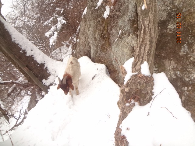 ����֮��