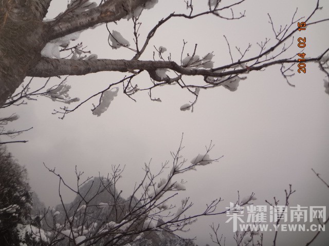 ����֮��