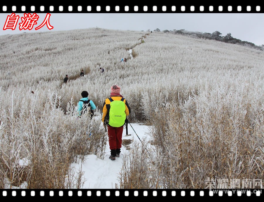 �������ˡ�12.26��������֮������·���ɽ�ݵ����ѩһ���� 