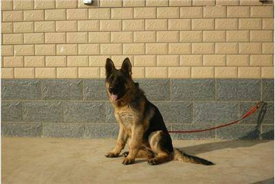 ���˰����������˸�͵�ˣ���ת������1000-5000Ԫ����