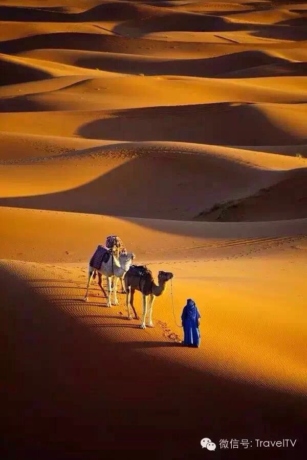 ��ô���ĵط�������˭ȥ?