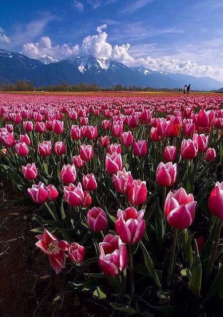 ��ô���ĵط�������˭ȥ?