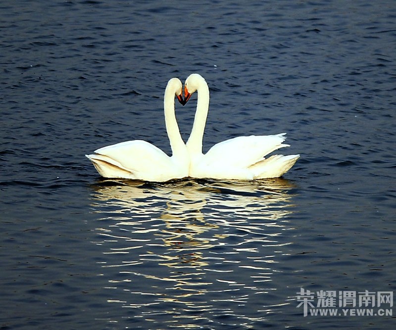 Ԫ����������Ͽ��ɽ��ѩ���͸���ɽ��Ȫ���������