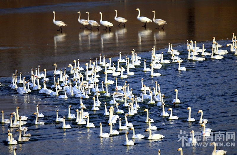 Ԫ����������Ͽ��ɽ��ѩ���͸���ɽ��Ȫ���������