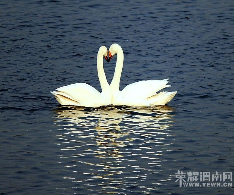 Ԫ����������Ͽ��ɽ��ѩ���͸���ɽ��Ȫ���������