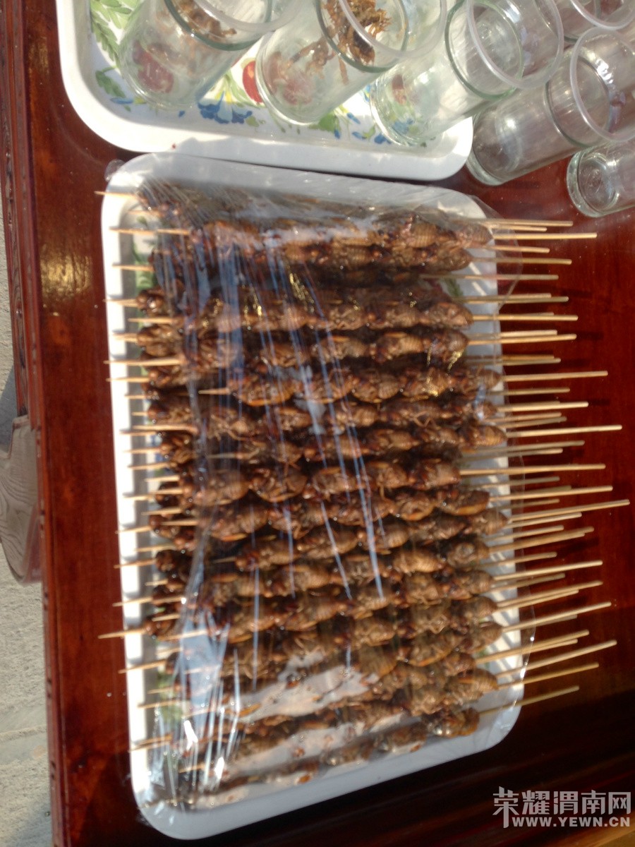 ����--��Ȫ�ų�