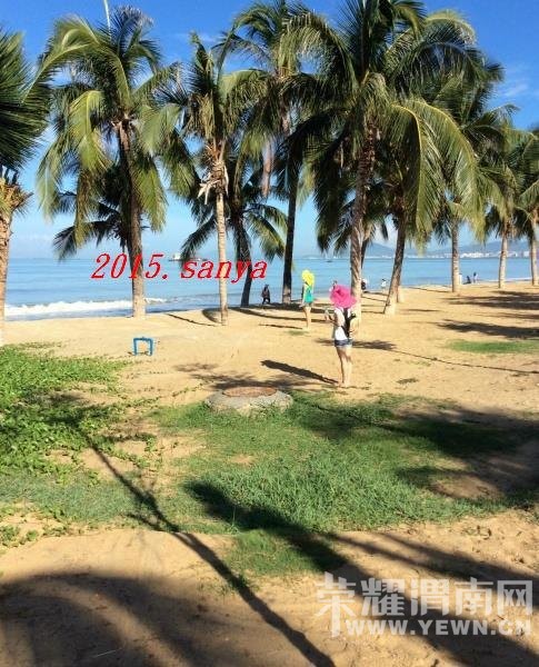 �������������������������Լ��У�