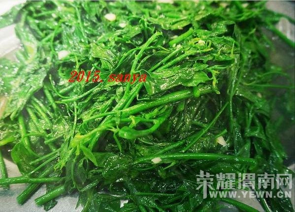 �������������������������Լ��У�