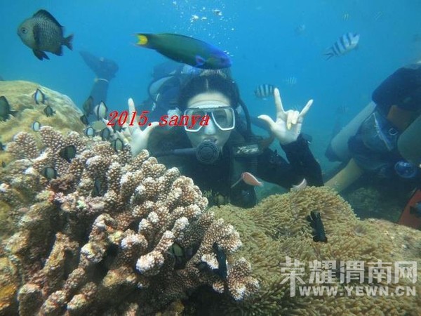 �������������������������Լ��У�