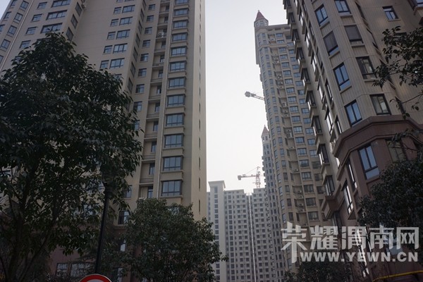 �����ܰ�С�ࡷμ�����̼�֮��԰��ķ���-��԰ʢ��