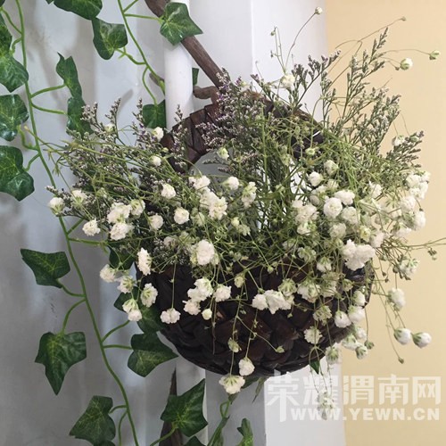 ������⣬��Сٻ��Ů�������ˣ�����ҫ�����͸�����~~