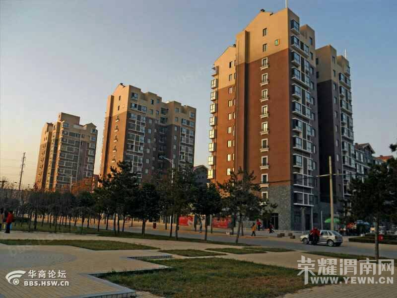150850t206cjjqxqre1152.jpg