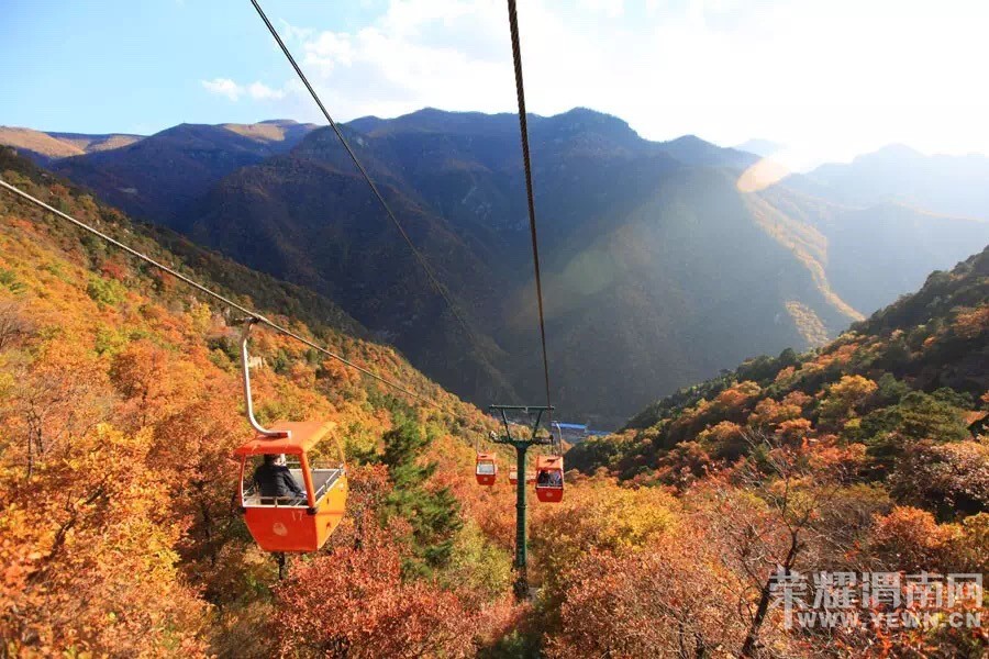 μ�ϡ�����ͬ�л��⡿ɽ����ɽ��ƽң������������