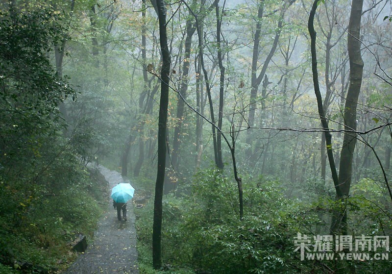 μ�ϡ�����ͬ�л��⡿��Ů�����żҽ��ػݣ�