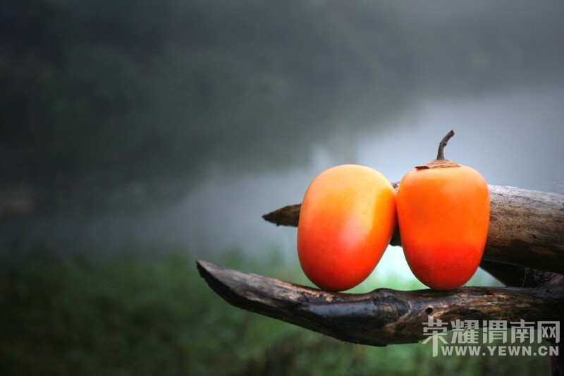 μ�ϡ�����ͬ�л��⡿��Ů�����żҽ��ػݣ�