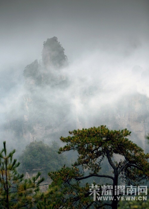 μ�ϡ�����ͬ�л��⡿��Ů�����żҽ��ػݣ�