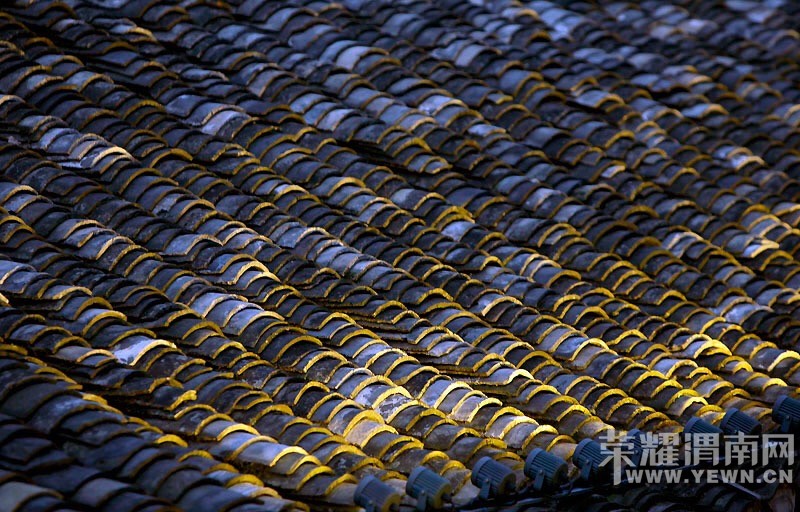 μ�ϡ�����ͬ�л��⡿��Ů�����żҽ��ػݣ�