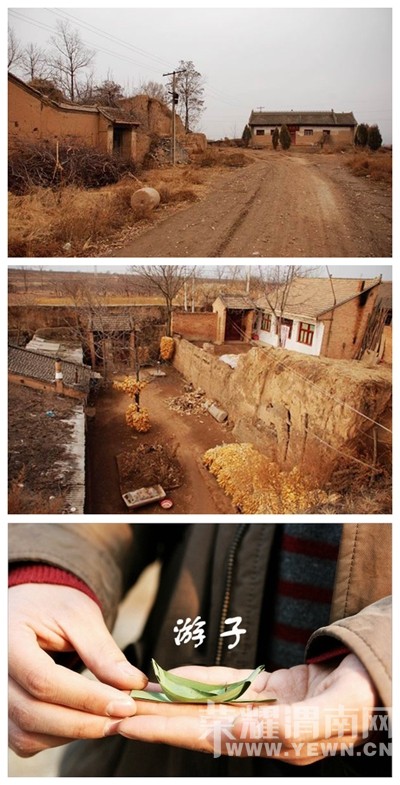 ���������μ�����ӣ�����������Ҫ�ļң�