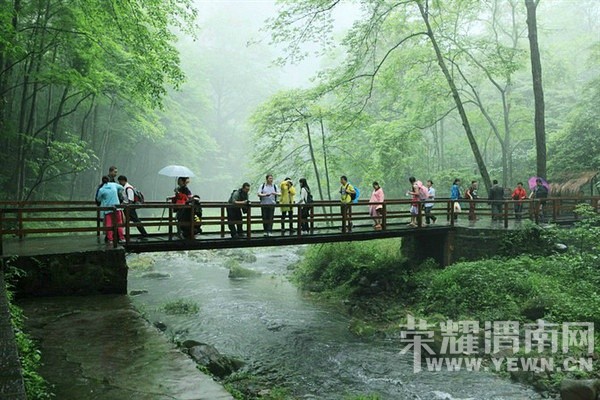 ѩ�ǻ��� 3��8���׷������żҽ�ǧ�˴���Ԥ������