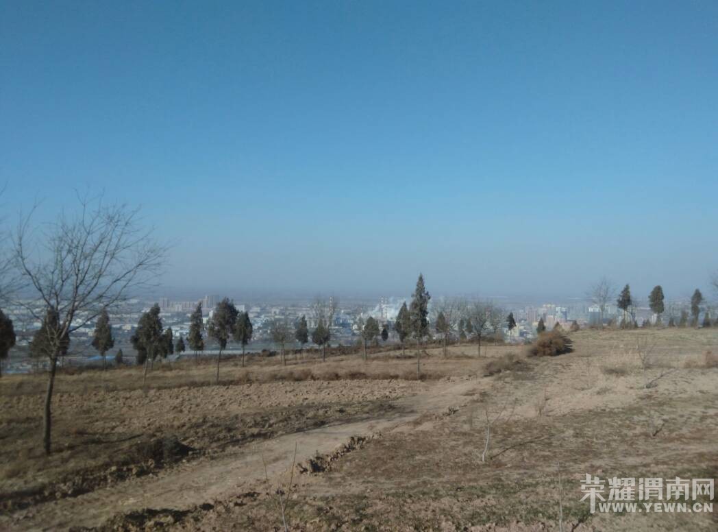 201255kfygfpsvg5vll5hf.jpg
