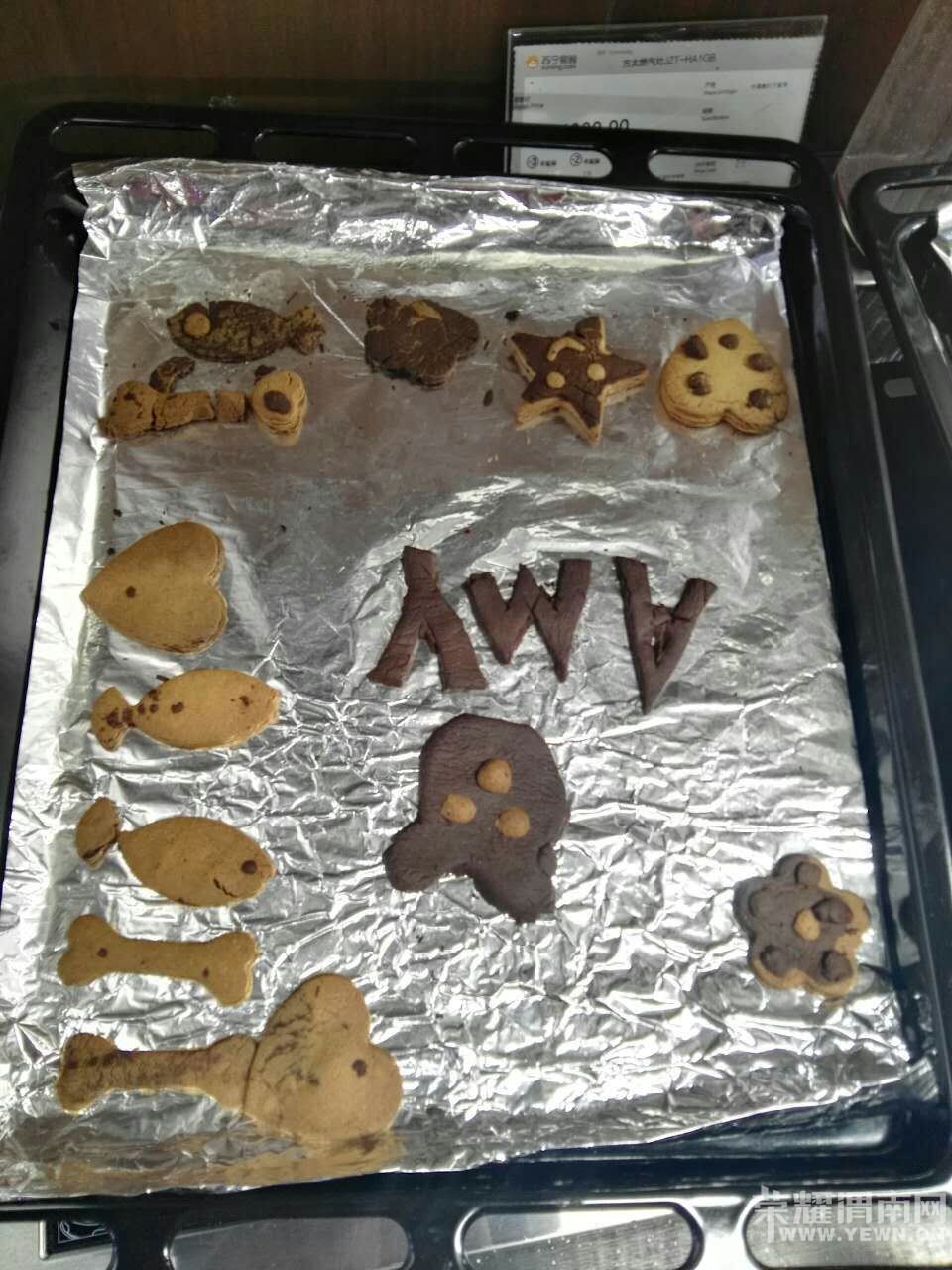 ��ҫμ�����ӻDIR����