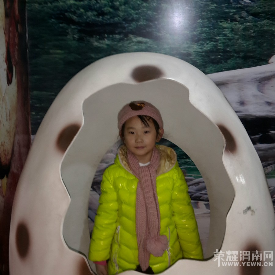 ʥ���μǣ������ǲ��Ǻ�ţ����ʥս֮����