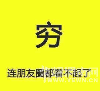 ����Ȧ�������Ƭ�������ˣ��Ҳ�������2016Ԫ������