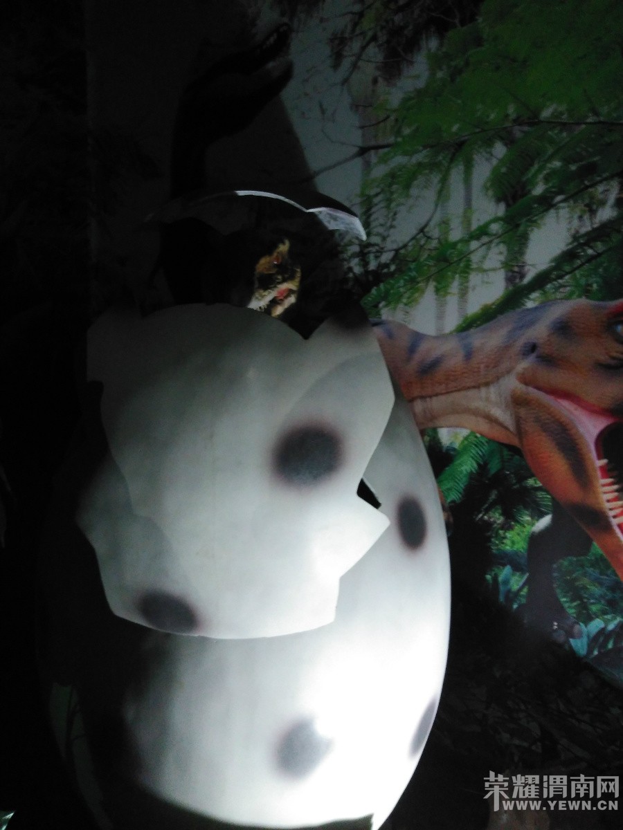 С����������