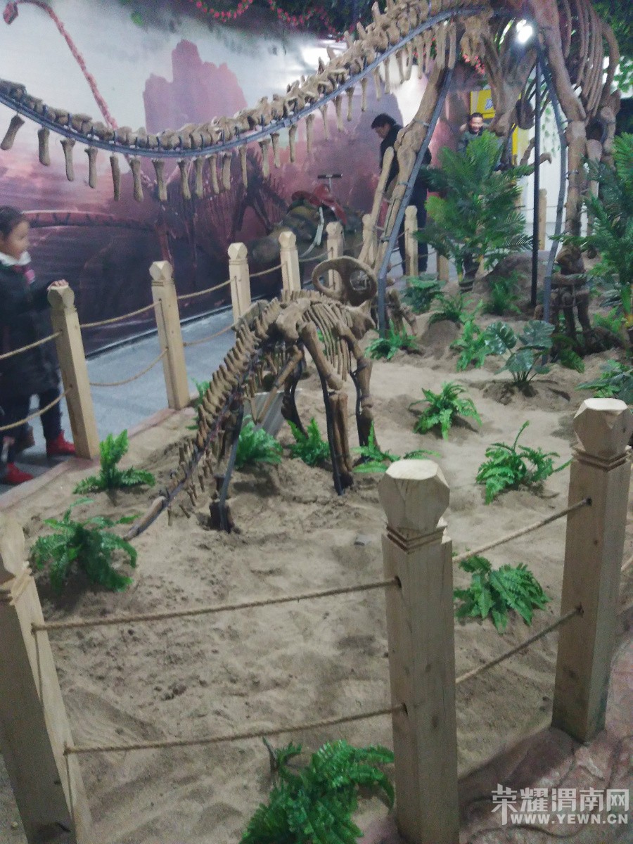 ������������Ĳ�