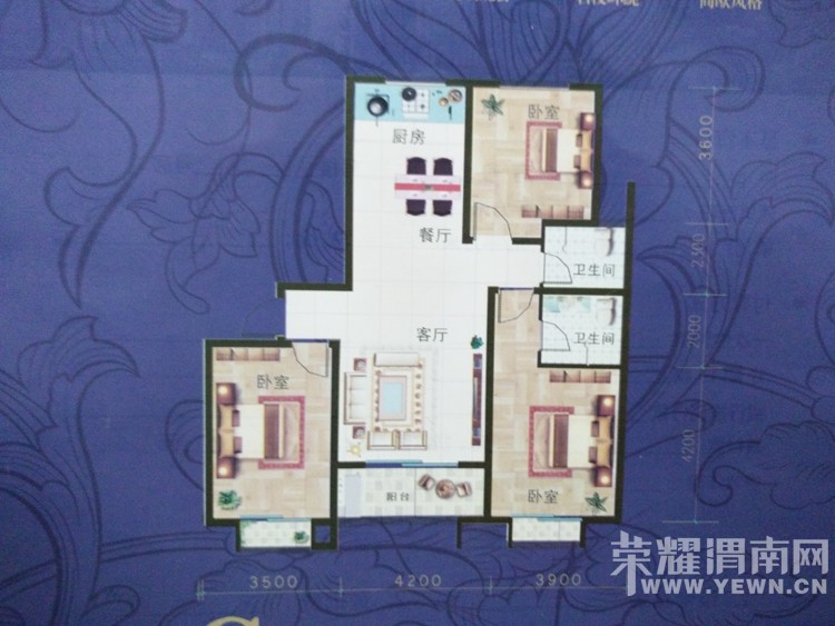 �￴���������զ������˵��Ŀ�տ�ʼ