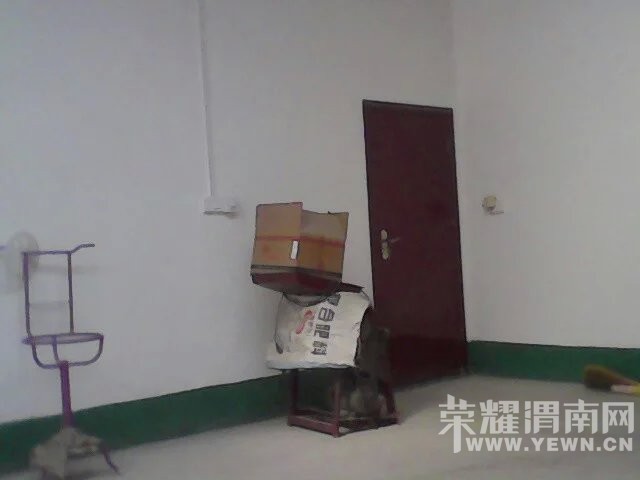 ��������������м���ͥ��������С��