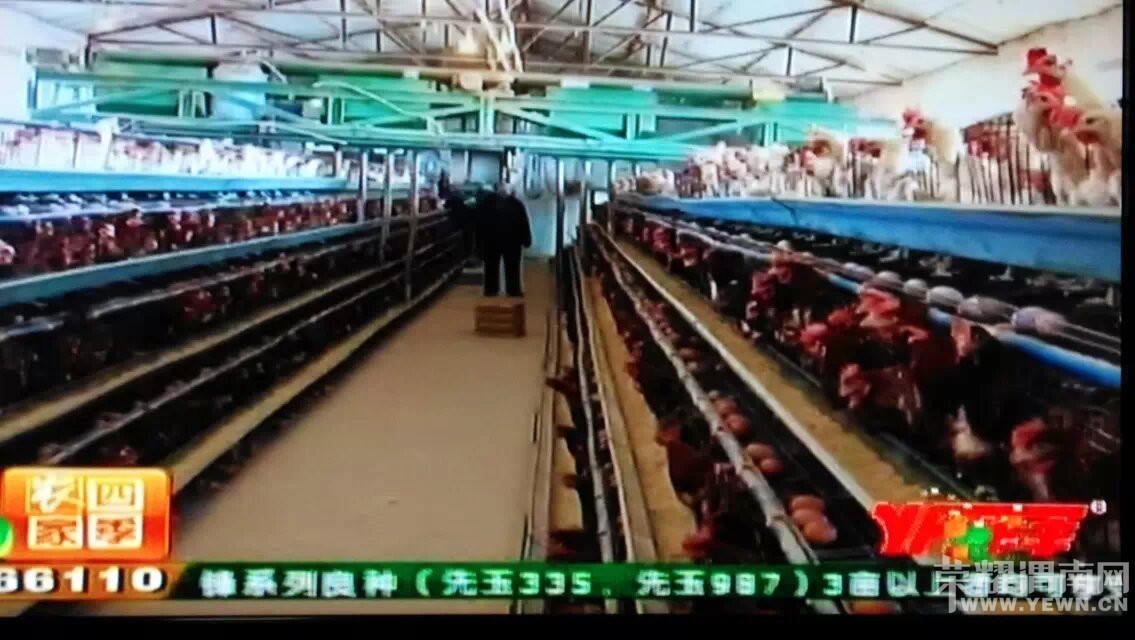 ��������������м���ͥ��������С��