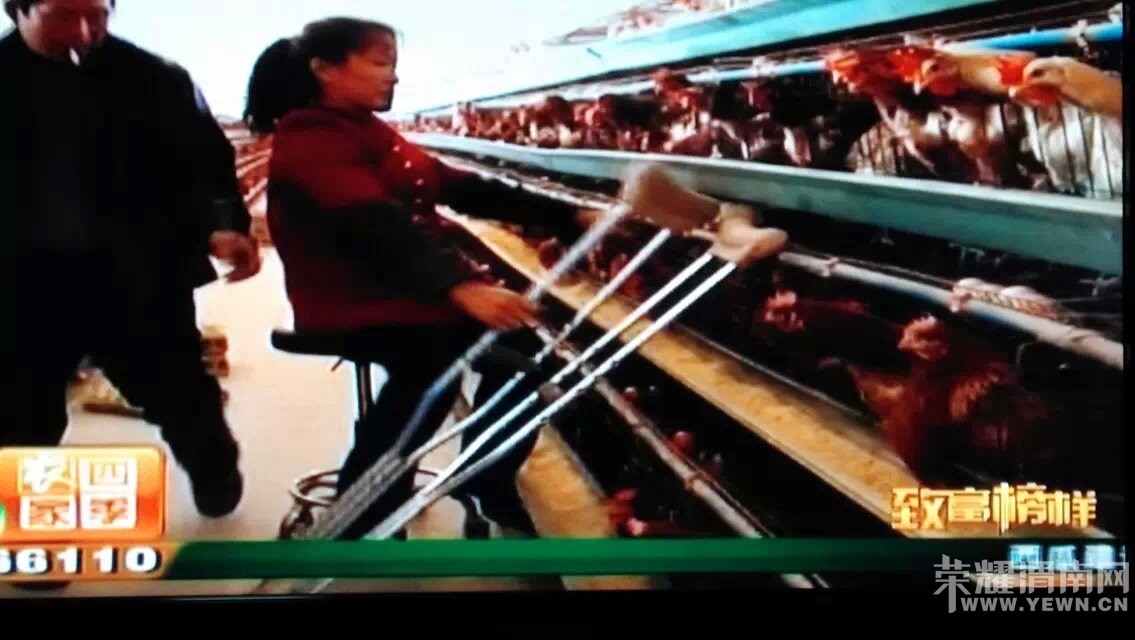 ��������������м���ͥ��������С��