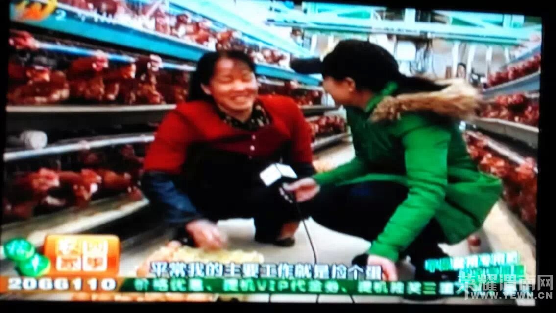 ��������������м���ͥ��������С��