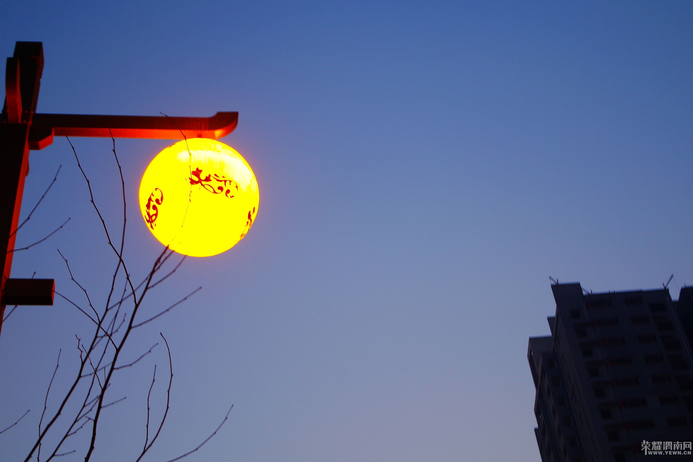 μ�����񰮷���