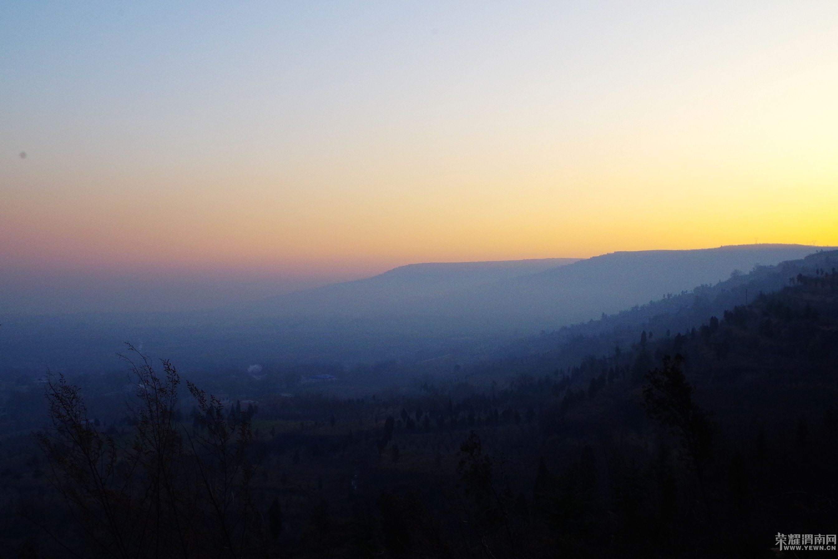 μ�����񰮷���