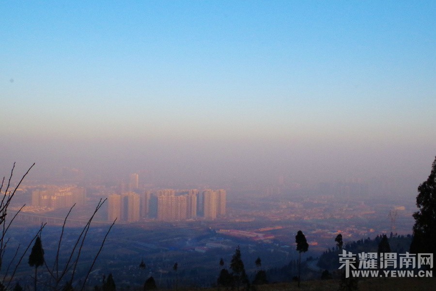 μ�����񰮷���